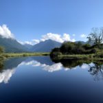 Widgeon Creek Paddle