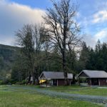 Maple Bay Cabins 楓葉灣小木屋：Cultus Lake 家庭露營完整指南