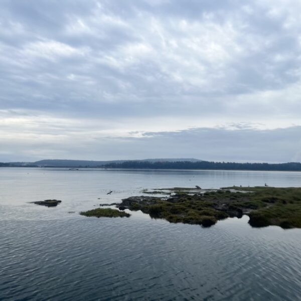 Nanaimo River Estuary Paddle