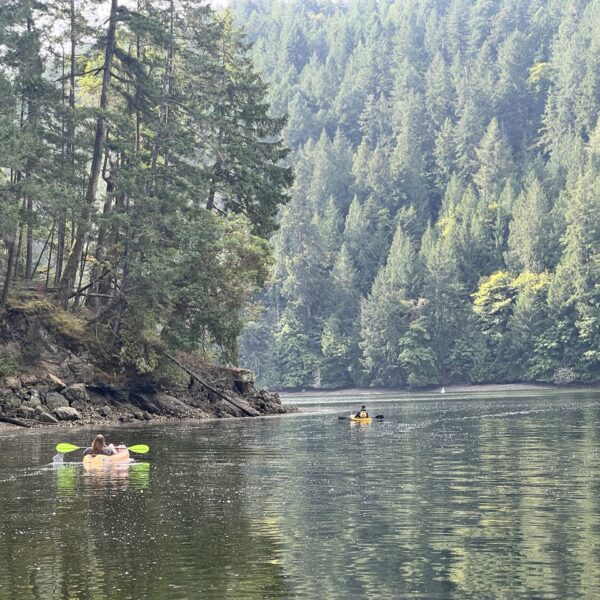 Bamberton to Brentwood Bay Paddle