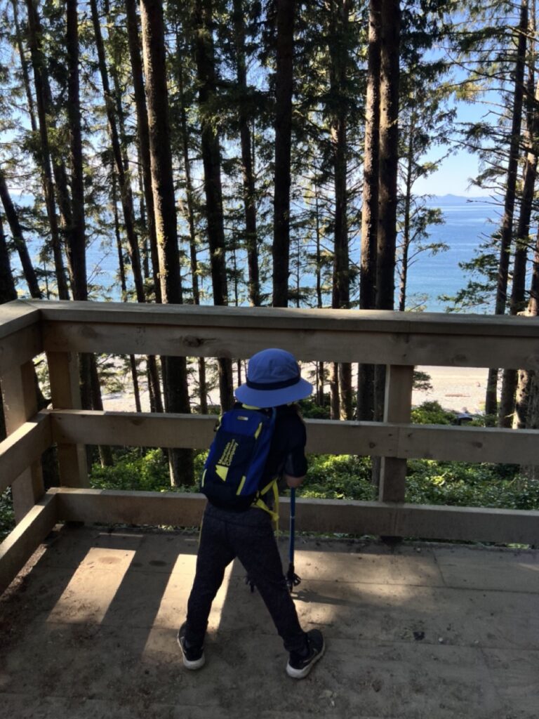 Forest steps and trail leading down to China Beach