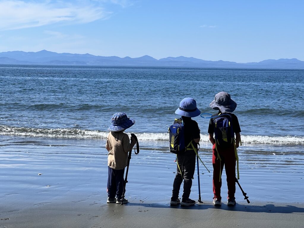 Sandy and pebbly shoreline at China Beach with driftwood and ocean views