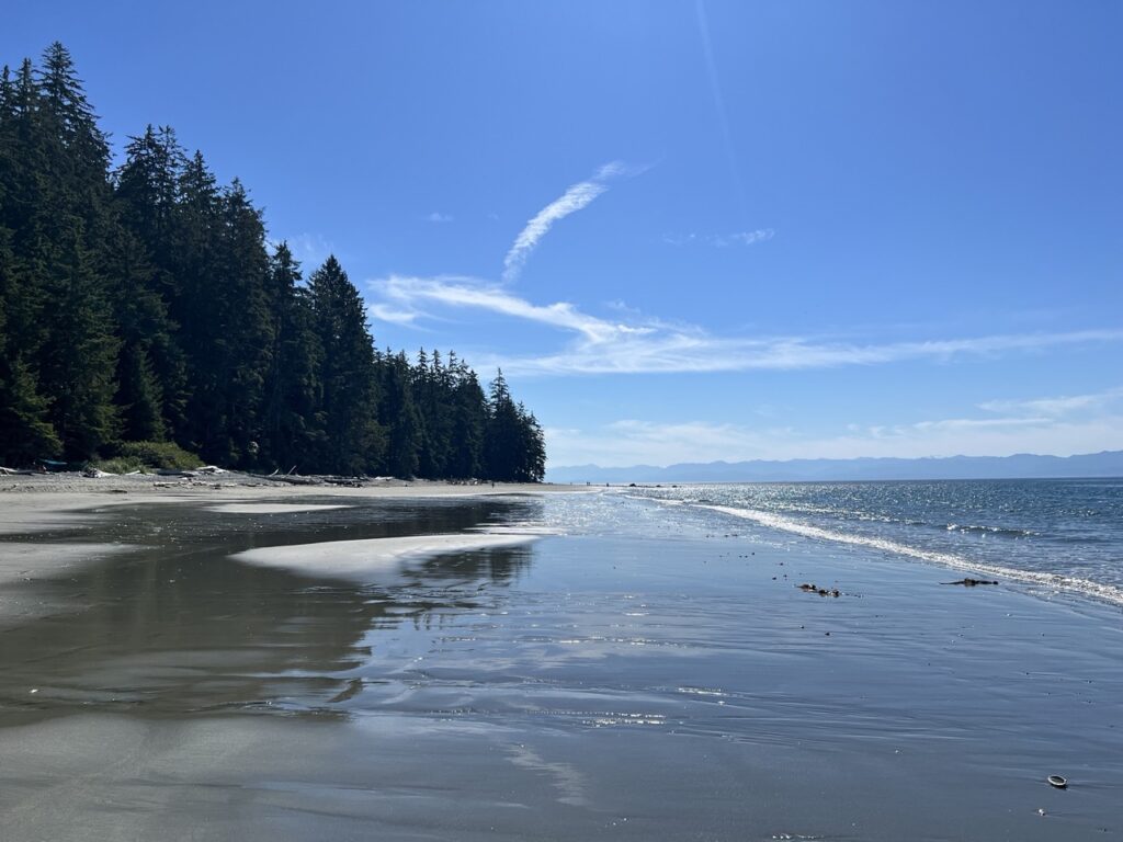 Kids exploring driftwood and rocks along China Beach