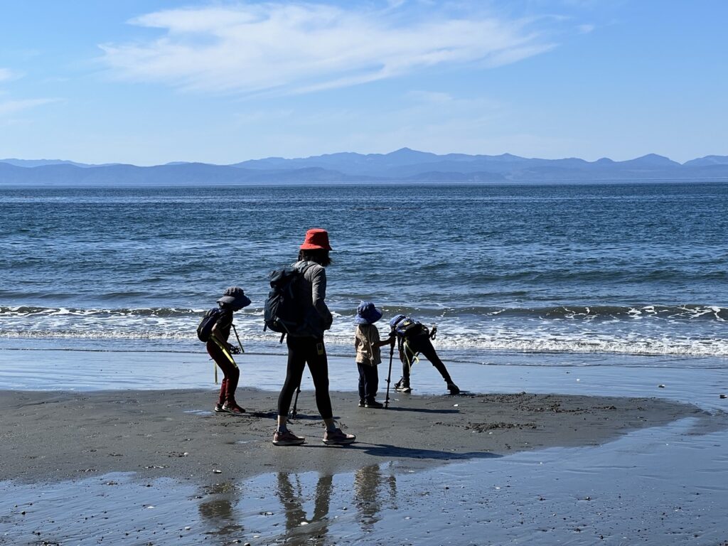 Ocean view from China Beach with logs along the upper beach