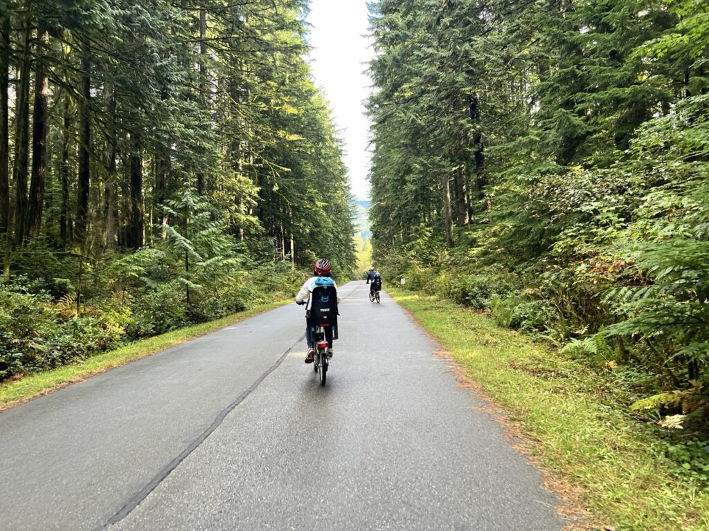 Cyclist riding along Seymour Valley Trailway surrounded by forest