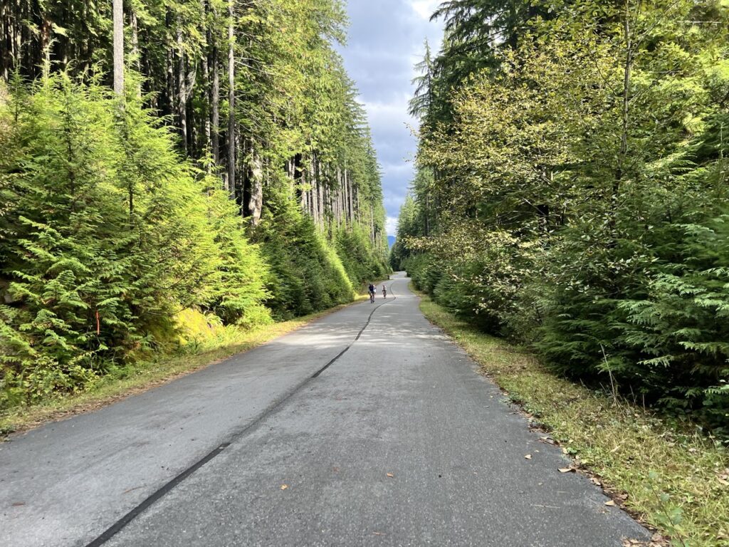 View of the paved Seymour Valley Trailway curving through the trees
