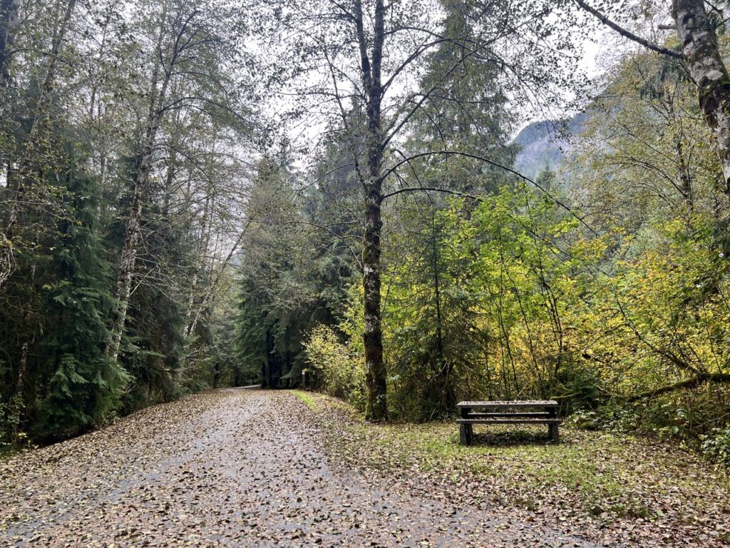 Trailside outhouse and picnic tables at a rest stop in LSCR