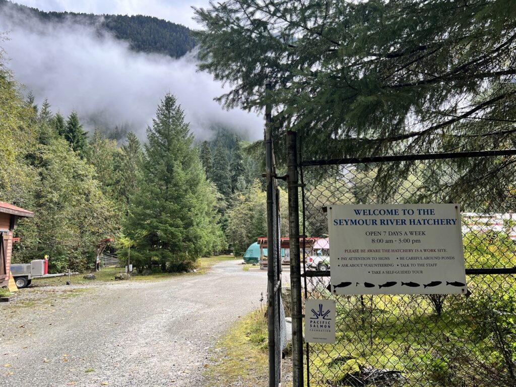 Entrance to Seymour River Hatchery surrounded by forest