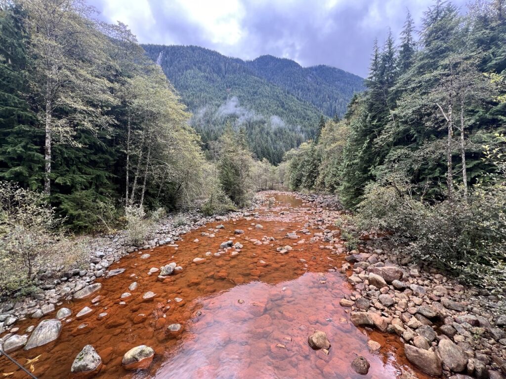 Trail junction at Bear Island Bridge in LSCR