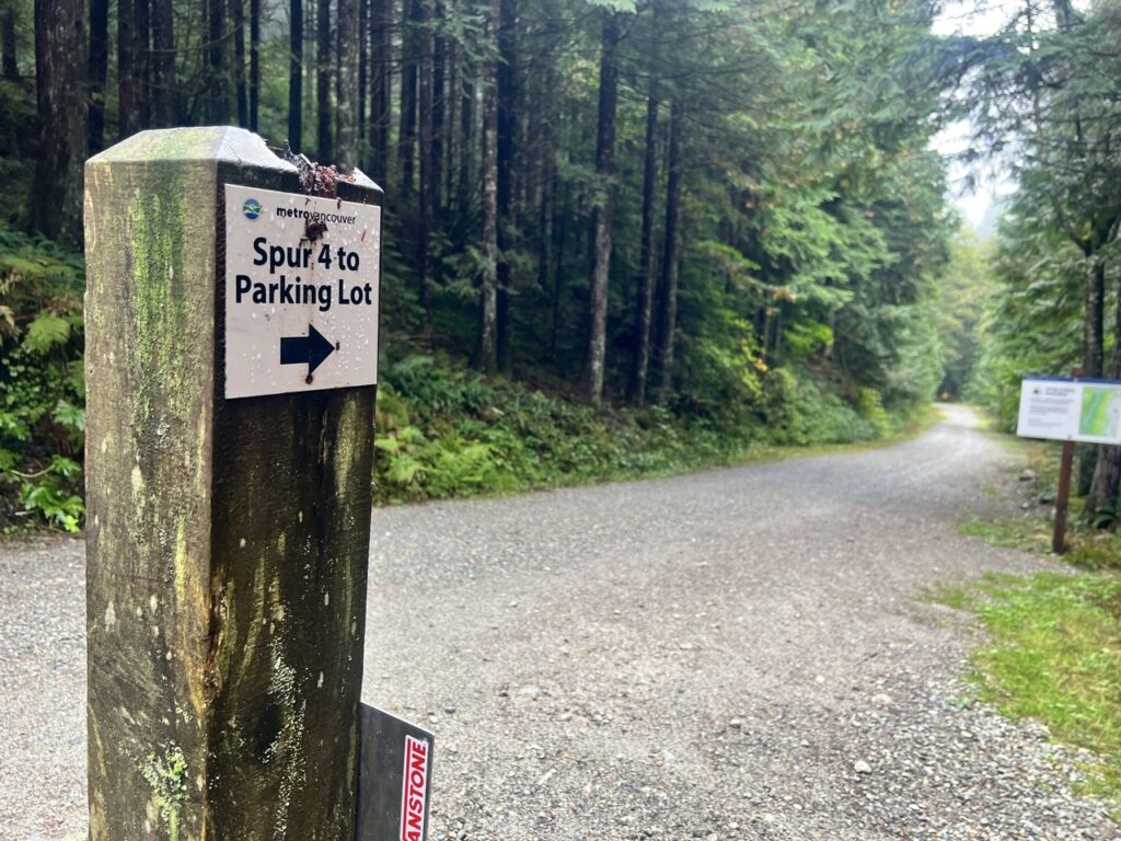 Gravel double track road on Spur 4 Trail