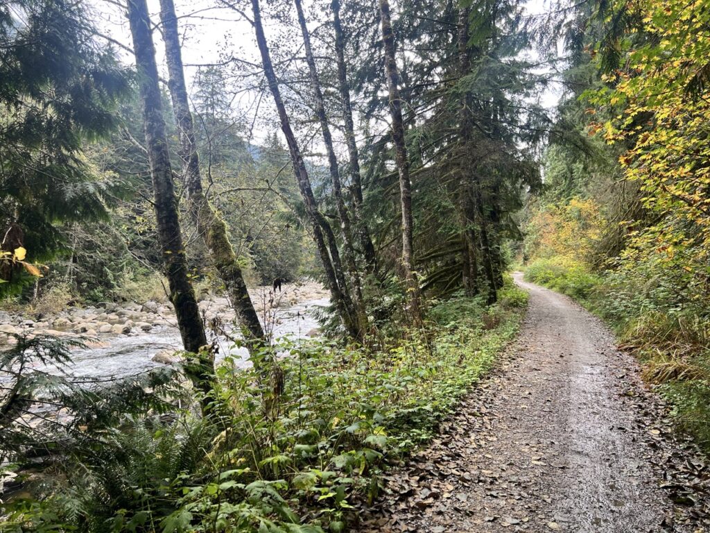 Fisherman’s Trail North following the Seymour River