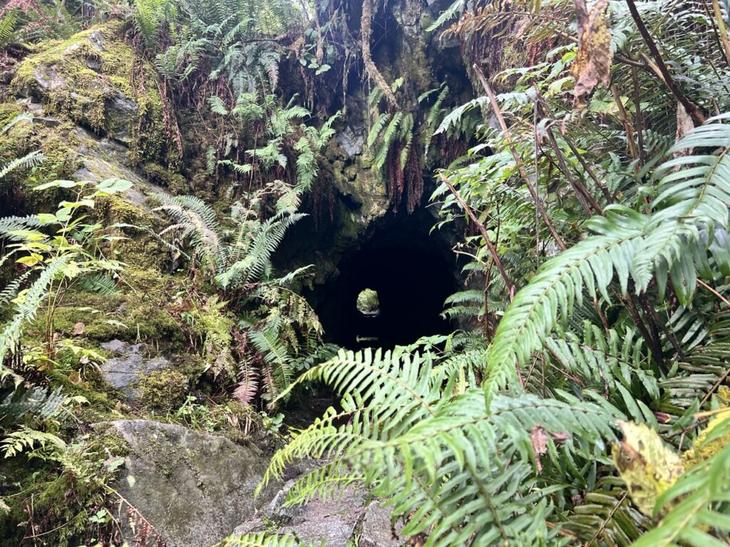 Small tunnel opening beside Fisherman’s Trail North