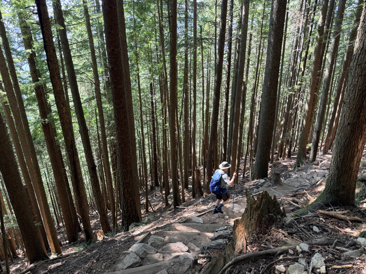 Grouse Grind with Kids: New Family PRs + BCMC Trail Descent
