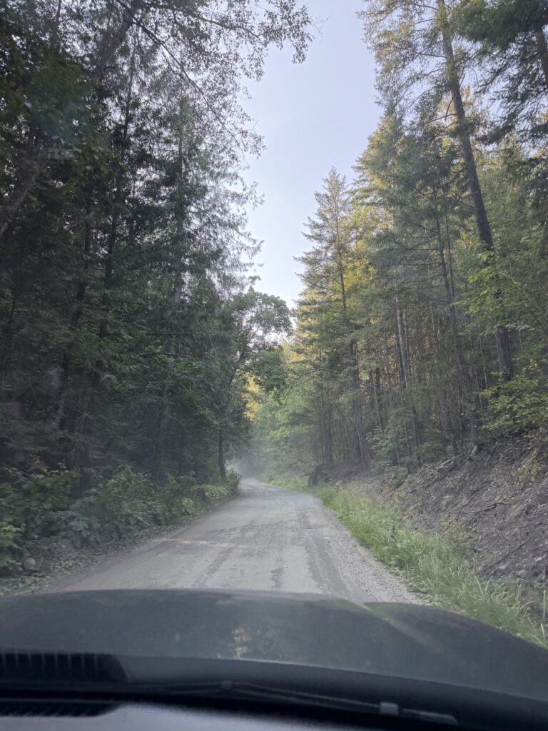 Gravel road to Birkenhead Lake Provincial Park campground
